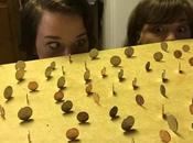 Equilibre budgétaire