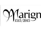 ROMORANTIN spectacle MARIGNAN 1515/2015 d’après Leonard Vinci -24/25 Juillet 2015