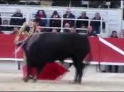 Arles oreille pour castella (video)