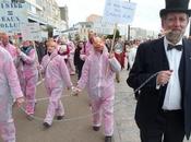 ferme-usine cochons suscite révolte Vendée