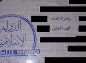 Syrie L’Etat islamique distribue cartes d’identité