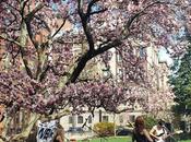 Outdoor music Barnard College. Spring makes look so...