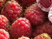 Gourmandise tarte framboises Pâtisserie Rêves