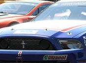 Project Cars: liste voitures