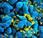 VIH: ouvre-boîte moléculaire pour décapsuler virus PNAS