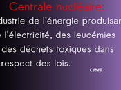 Définition Centrale nucléaire