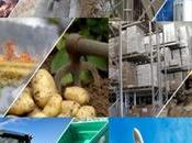 CNMA redéploie améliore performances financières