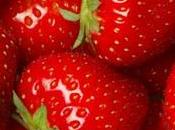 bonnes raisons goinfrer fraises