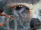 Frissons garantis Regardez Dents bouées beau milieu l’eau