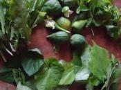couscous berbère figues vertes