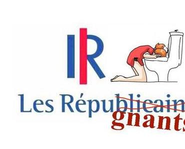 scandale démocratique en France : soudain,  des millions de français ne sont plus républicains