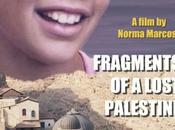 Jeudi juin 20h, CinéMourguet, projection documentaire Fragments d’une Palestine perdue présence réalisateur