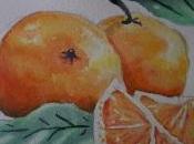 Oranges l'aquarelle