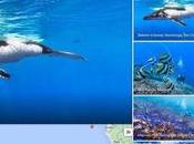 découverte fonds marins avec Google Street View