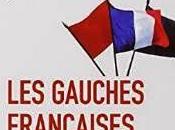 Lecture Histoire Gauche, Théorie Gauches