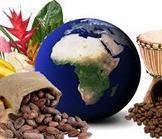 En marche pour une zone de libre échange en Afrique