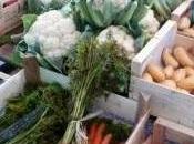 Pour survie marché couvert Saint-Martin sauvegarde commerce proximité intra-muros