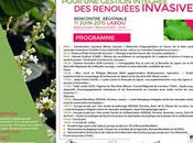 Rencontre Régionale pour gestion intégrée Renouées invasives