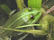 Quel temps aujourd'hui