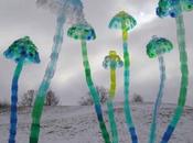 sculptures végétales Veronika Richterova