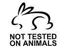 Tests animaux comment choisir cosmétiques