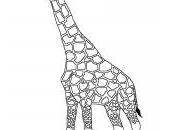 dessin girafe