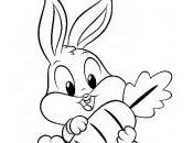 dessin lapin