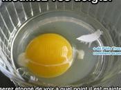 Quelques astuces cuisine