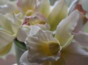 bouquet d’orchidées sucre {Contrib.}