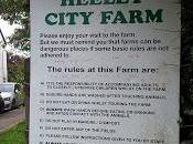 Visite Heeley City Farm Sheffield.