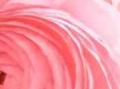 Glossybox Garden Party