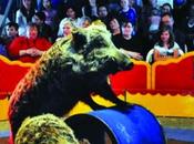 Nigloland Attraction sensation annoncée pour 2016