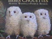 Bébés chouettes, Martin Waddell Patrick Benson