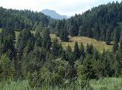 Beaux lacs bavarois: Luttensee près Mittenwald