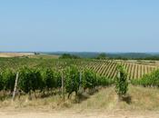 visite château Chambert