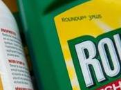 Roundup cancérigène Monsanto était courant depuis plus ans, selon chercheur