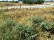 créanciers Grèce relancent machine privatiser