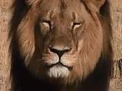 Citation jour, bonjour