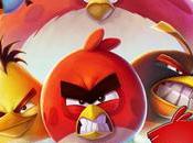 Angry Birds iPhone: Has-Been Non, juste N°1...