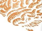 SEVRAGE TABAGIQUE: L'enzyme dévore nicotine avant arrivée cerveau Journal American Chemical Society