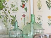 [bo•tanical] decor