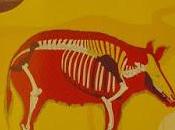 Archéo animaux, l'incroyable histoire l'archéologie animaux