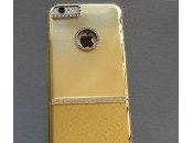Insolite coque iPhone plus euros