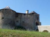 château fort Mauléon