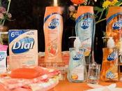 petits nouveaux Dial göt2b