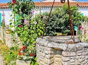 Immobilier Oléron cultive différence