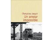 livre amour impossible Christine Angot