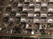 Échiquier, Saint Louis"