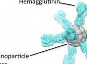 GRIPPE: vaccin universel basé partie universelle l'antigène Science-Nature Medicine-mBio