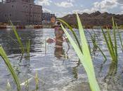 Soil Water, installation artistique éco-conçue nager Londres